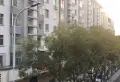 广场华联工商局家属院小区图片3