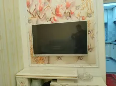 东坡区|白虎滩1室1厅1卫出租