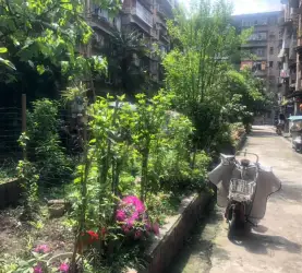 雨城区-雨城-上坝路220号大院