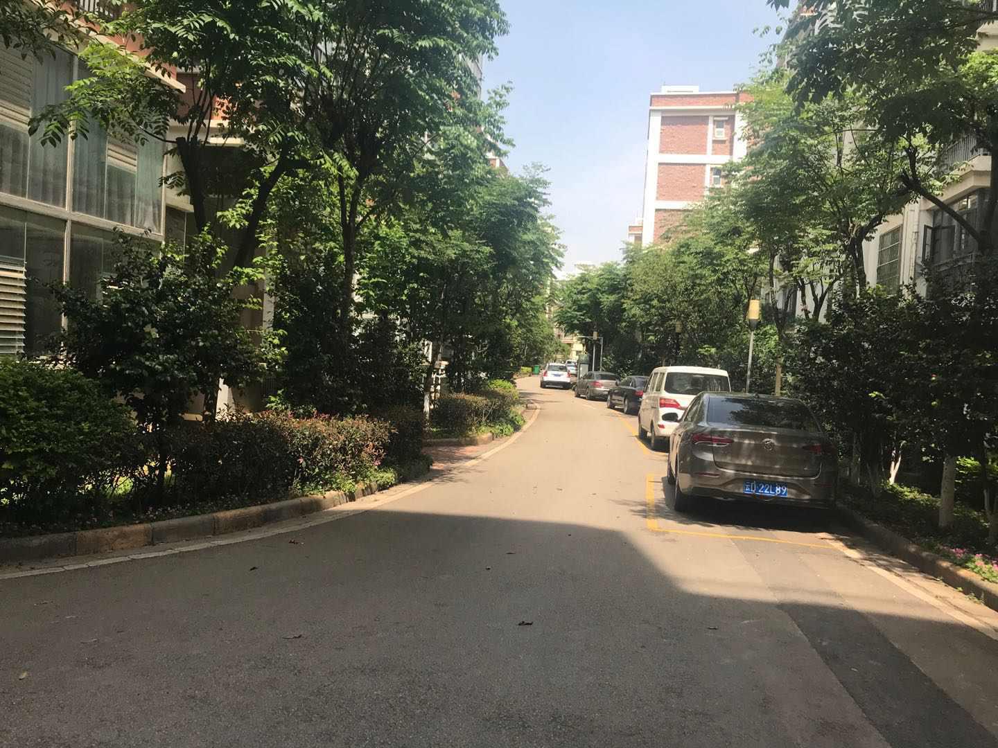 出租18
