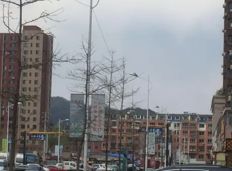 翰林佳园-凤城市城西凤北路巍巍陶瓷灯饰城西60米