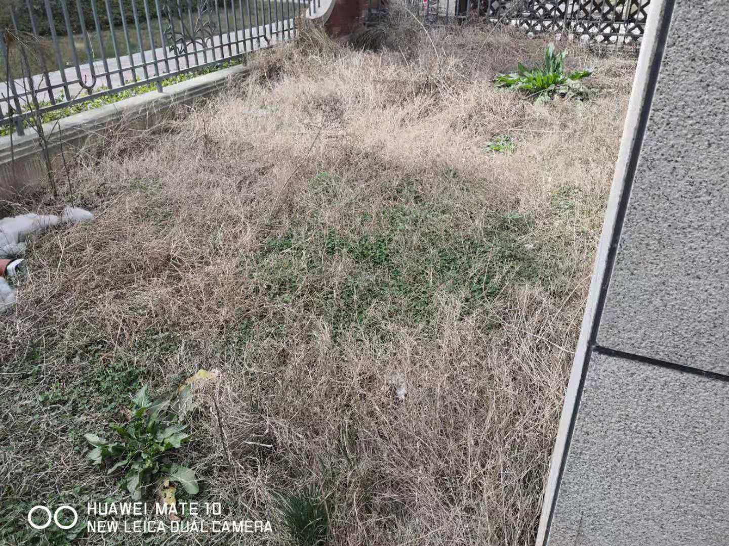 大美盛城藏珑墅院,疯了，居然还有这么便宜的房子，房主降价急售，随时看房1