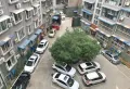 凤凰苑毛坯城北高档小区纯本西班牙风格9