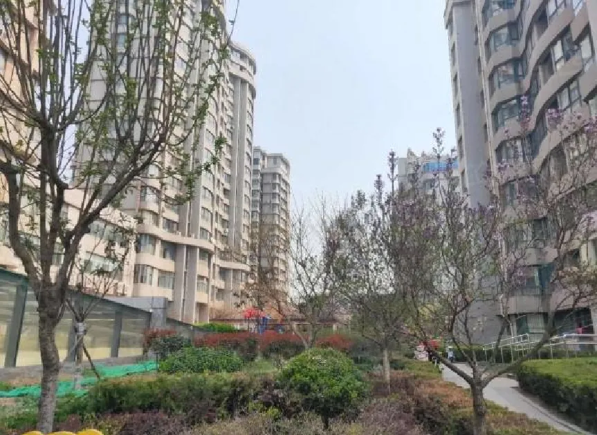 金港名都B区楼盘图片3