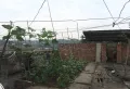 疯了，居然还有这么便宜的房子，房主降价急售，随时看房3