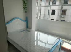 宝应县|泰山东村2室1厅1卫出售