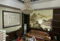 花园式别墅，超大院子，城中心地段5
