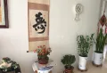 水岸府邸西区 房主急售 精装修随时看房3