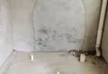 三层复式毛胚房别墅，只有一套，买到就是赚到13