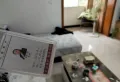 房东诚心卖，正两室，黄金楼层，拎包入住8