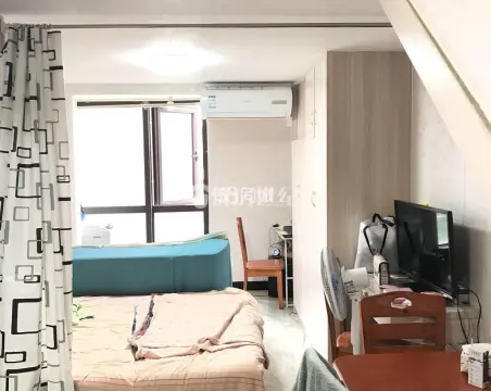 泰禾红树林1室1厅1卫精装