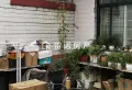 兴海花园独门独院小别墅，243平，证全86万4