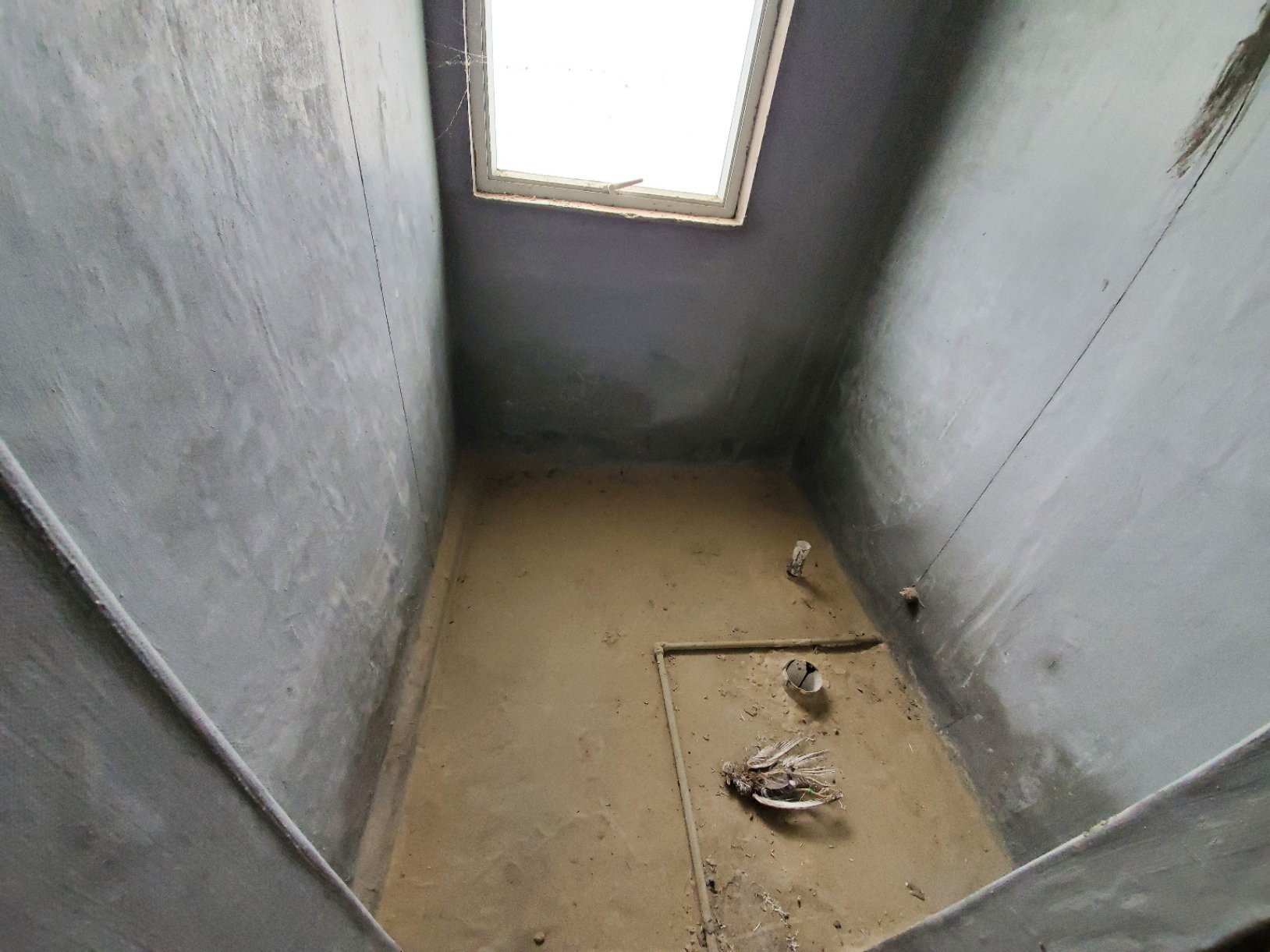 麒麟区西片区毛坯5室3厅2卫二手房出售10