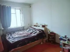 香坊区|仁和家园1室1厅1卫出租