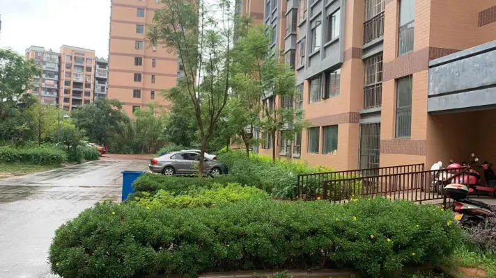 经典4室2厅2卫3阳台户全明毛坯两证齐全