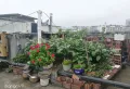 万佳庭院二期周边配套完善，泳池健身影院一应俱全2