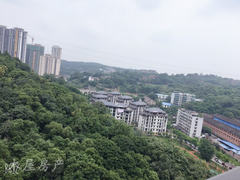 大安区马吃水毛坯2室2厅1卫二手房出售12