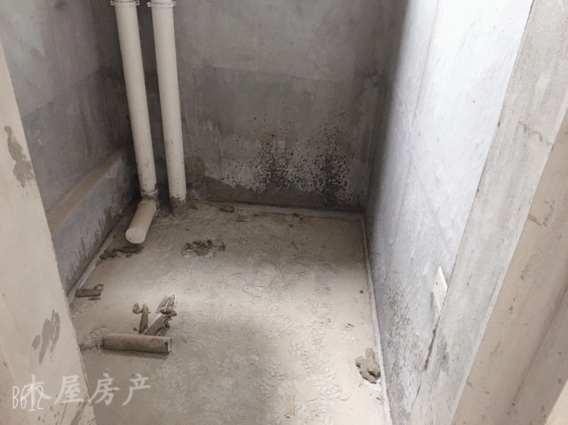 大安区马吃水毛坯2室2厅1卫二手房出售9