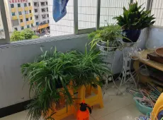 毕节市|六小旁边2室2厅1卫出售