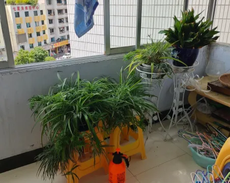 六小旁边2室2厅1卫朝南北普通