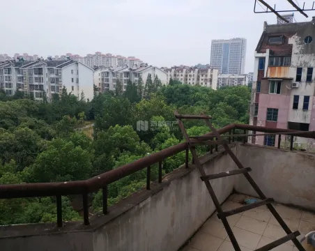 京东小区D区2室2厅1卫精装