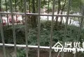 大社区,生活交通方便,2室1厅1卫1阳台1300元/月3