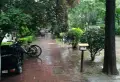 天明第一城小区图片3