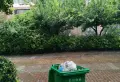 天明第一城小区图片4