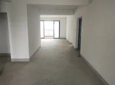 迎江区|绿地二期巴赫公馆4室2厅2卫出售