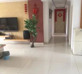 嘉善县-城南-嘉园城市心境