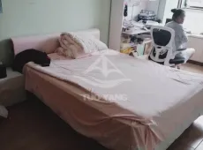 松北区|宜和园2室1厅1卫出租