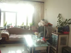 拜城县|金鑫花园2室1厅1卫出售
