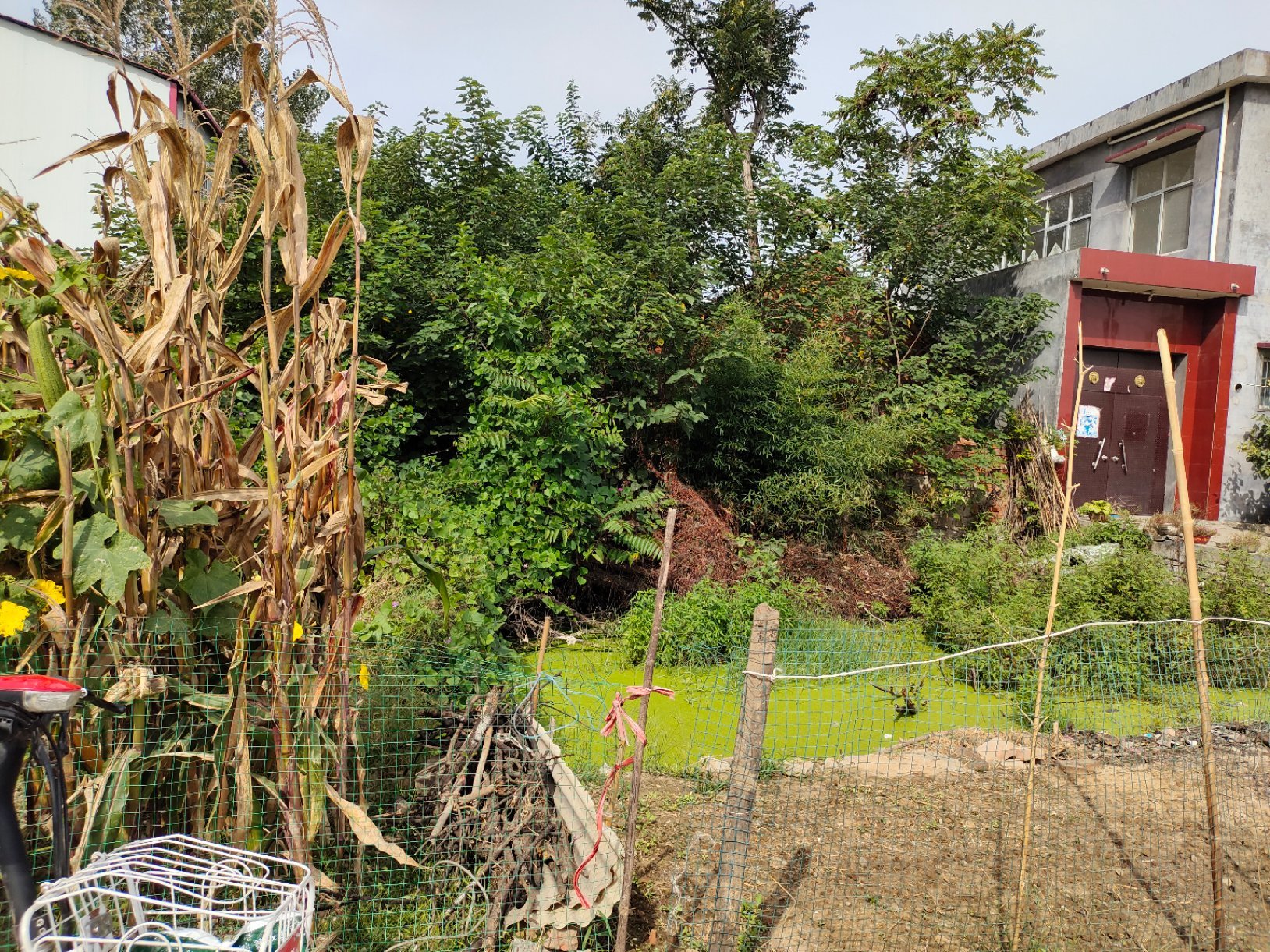 康李 宅基地，铁路东，12米X13米，四间瓦房在上面。-中汇小区二手房价