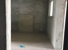 萧县|龙山庭院3室2厅1卫出售