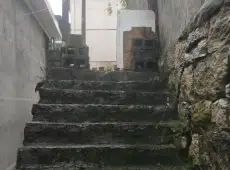 吉首市|电力桥6室2厅2卫出售