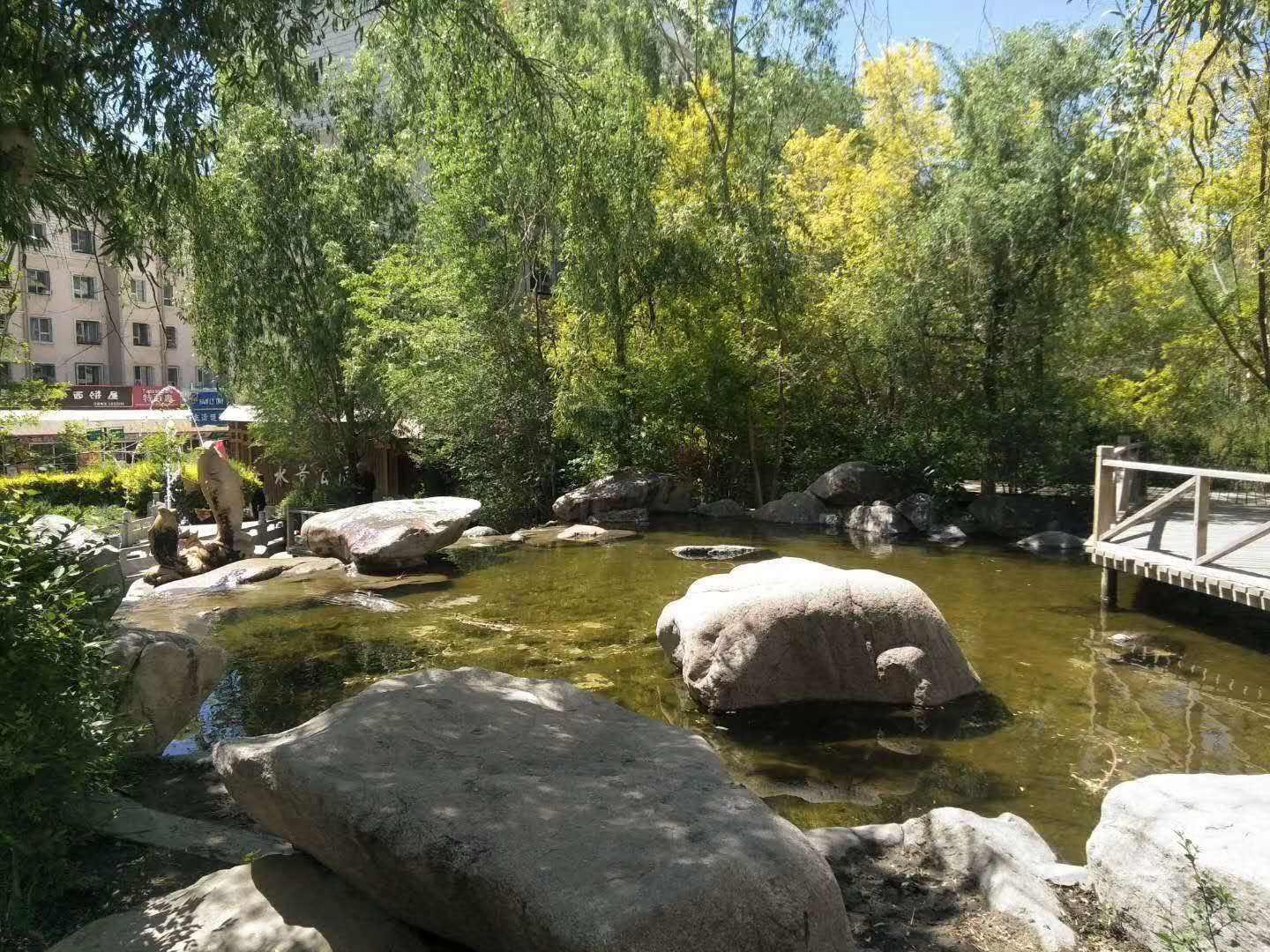 蓝天森林花苑小区图片