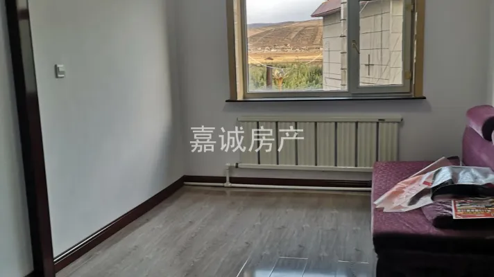 五楼！市中心，江景房，新装未入住！！