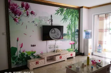 靖西德爱新瑞小区出售房源