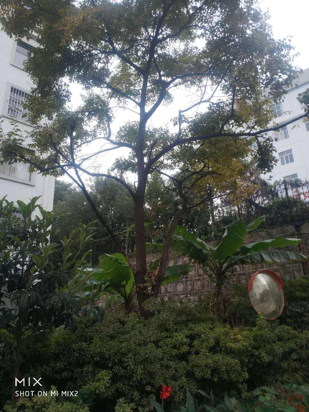 出租5