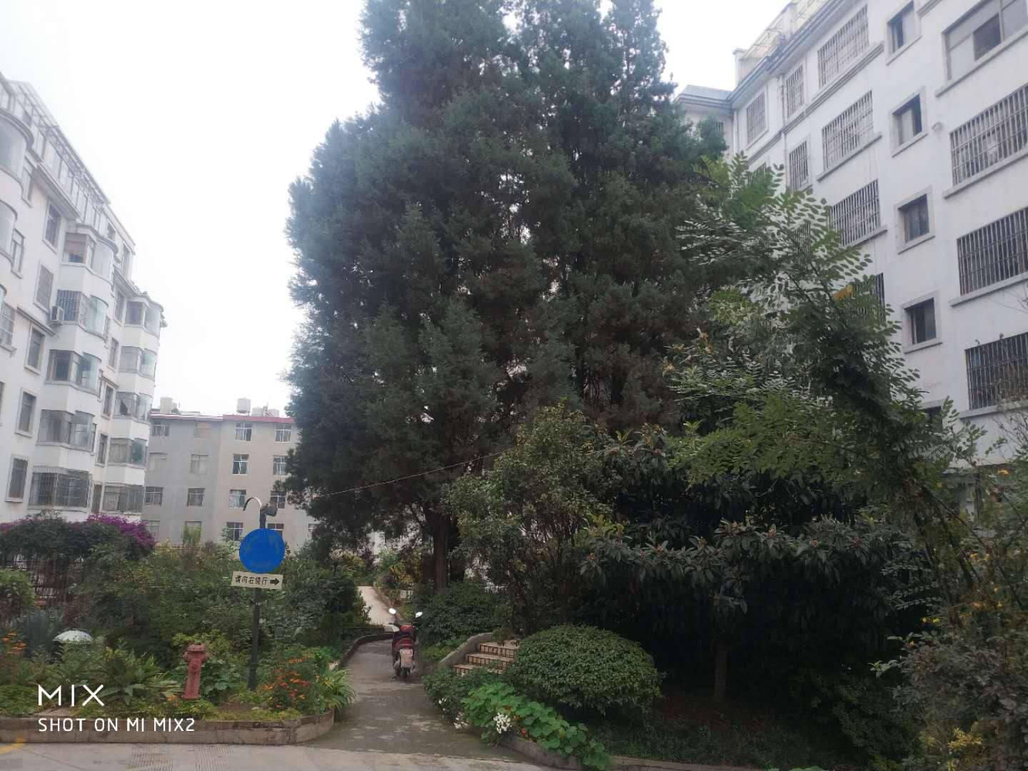 出租2