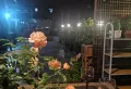 鸿山金域龙湖出售大三室底花，户型好小区环境幽静，新装修。11