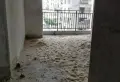 地段好，南北通透。环境好。5
