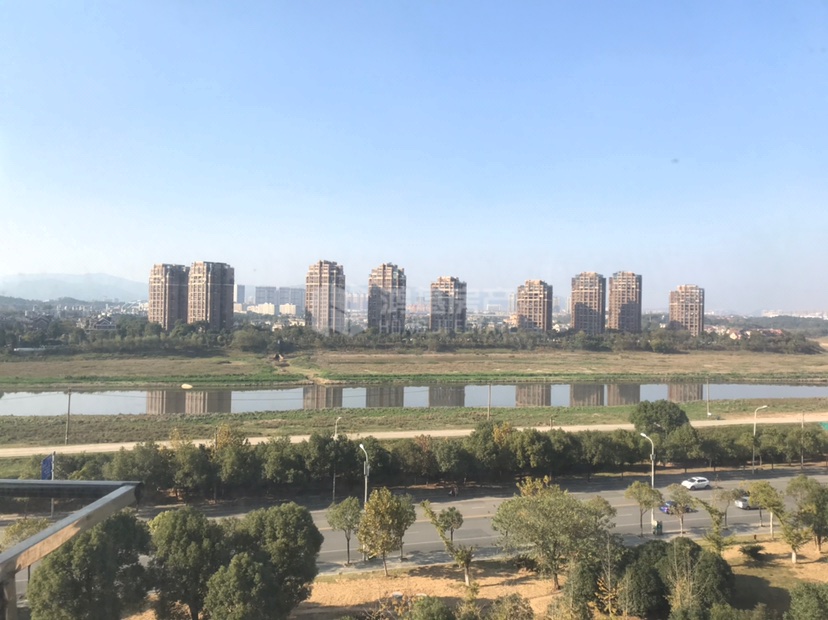 天赐良园,紧邻地铁,天赐良园房主急售9