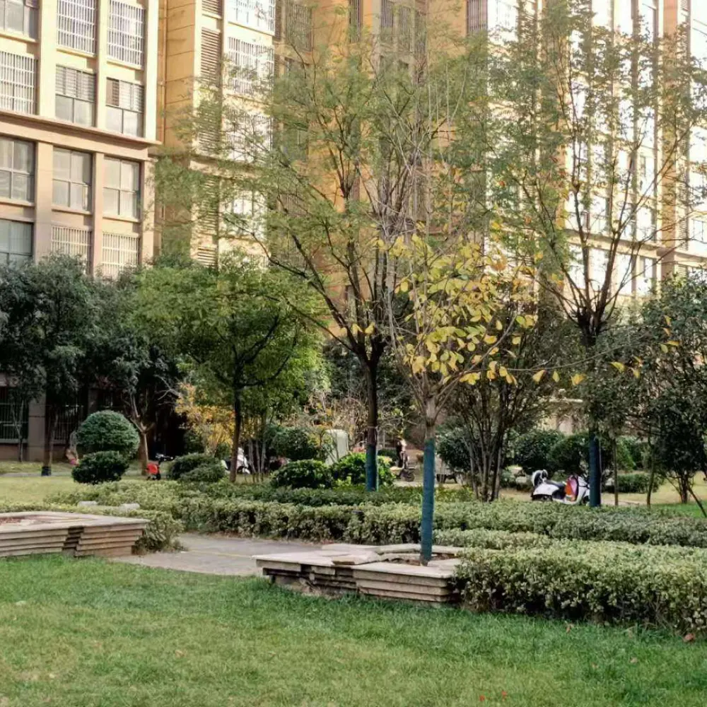 美庐园楼盘图片6