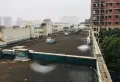 泰禾红树林小区图片12