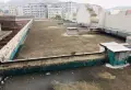 泰禾红树林小区图片9