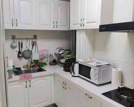 天成明月洲东区2室2厅1卫精装