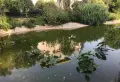 汝州碧桂园小区图片9