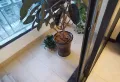 恒大帝景 精装修婚房6