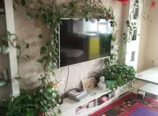 沙雅县|金水湾3室2厅1卫出售